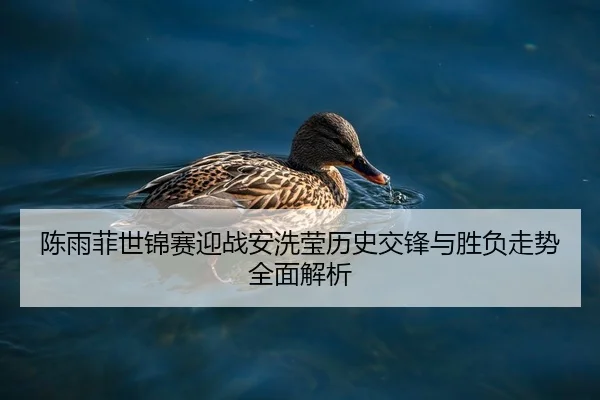 陈雨菲世锦赛迎战安洗莹历史交锋与胜负走势全面解析
